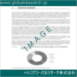 グローバルリサーチ調査資料のイメージ